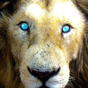 Meet your Posher, Fernando